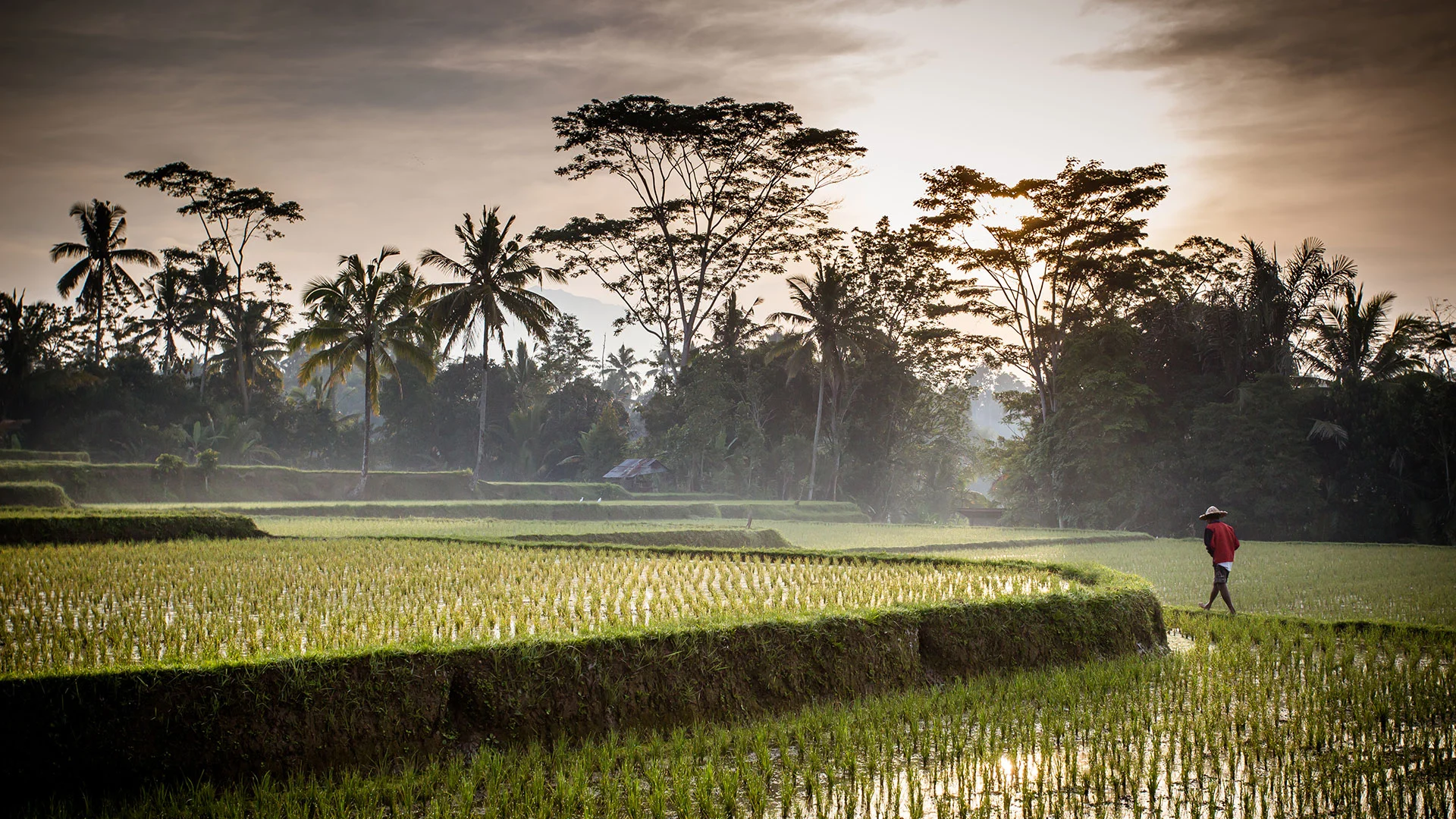 Hary Bali Private Tour