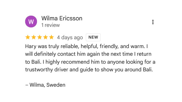 Bali Private Driver Review Screenshot 1
