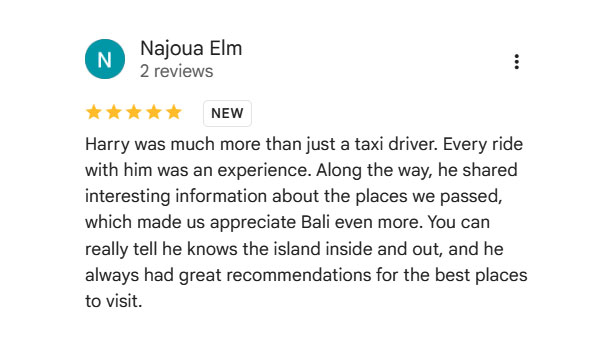 Bali Private Tour Review Screenshot 2