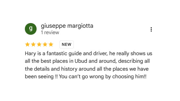 Bali Private Driver Review Screenshot 3