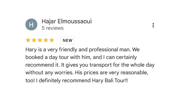 Bali Private Tour Review Screenshot 4